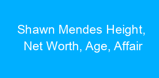 Shawn Mendes Height, Net Worth, Age, Affair