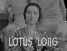 Lotus Long.jpg