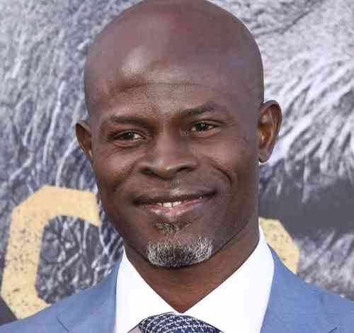 Interesting Facts About Djimon Hounsou, World Actor, And Singer